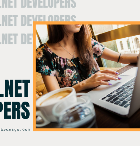 Latest opportunities Argentina .NET Developer