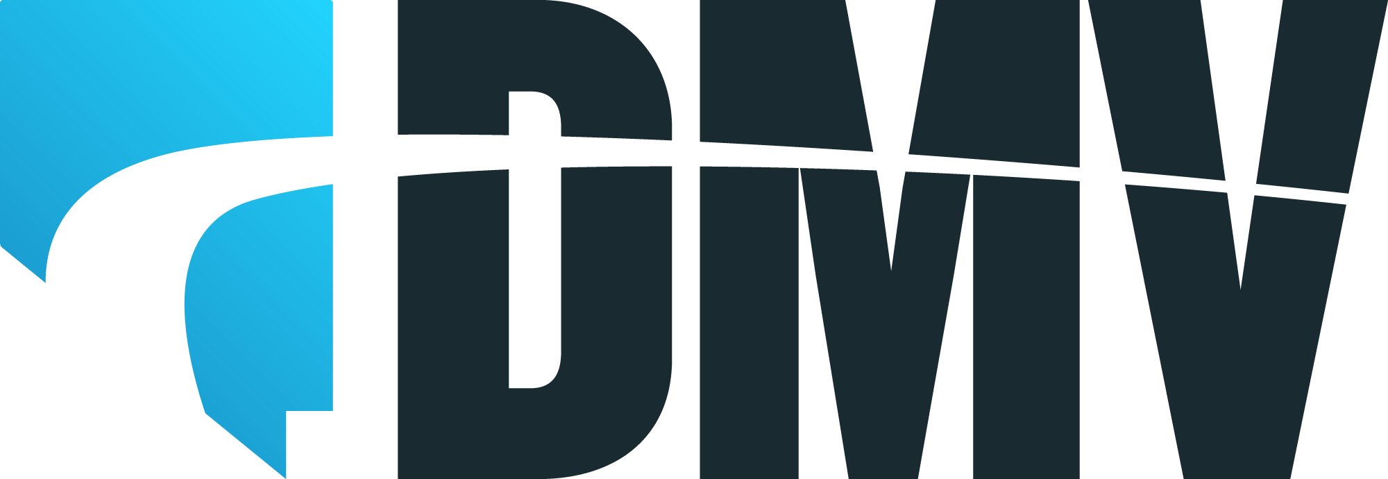 logo-dmv - Bransys Group
